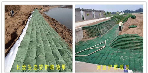 攜手綠色未來 廣西柳州丙綸生態袋生產廠家引領新型環保建材新風尚